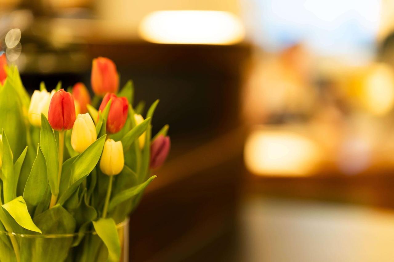 Logis Hotel Quartier 5, Saechsische Schweiz, Mit Restaurant, Cafe & Bar Kurort Gohrisch Eksteriør bilde