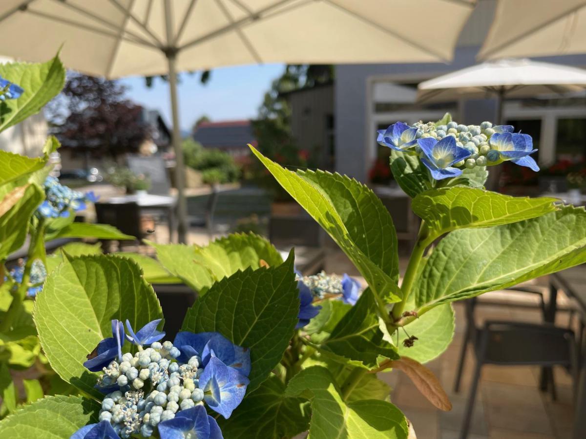 Logis Hotel Quartier 5, Saechsische Schweiz, Mit Restaurant, Cafe & Bar Kurort Gohrisch Eksteriør bilde